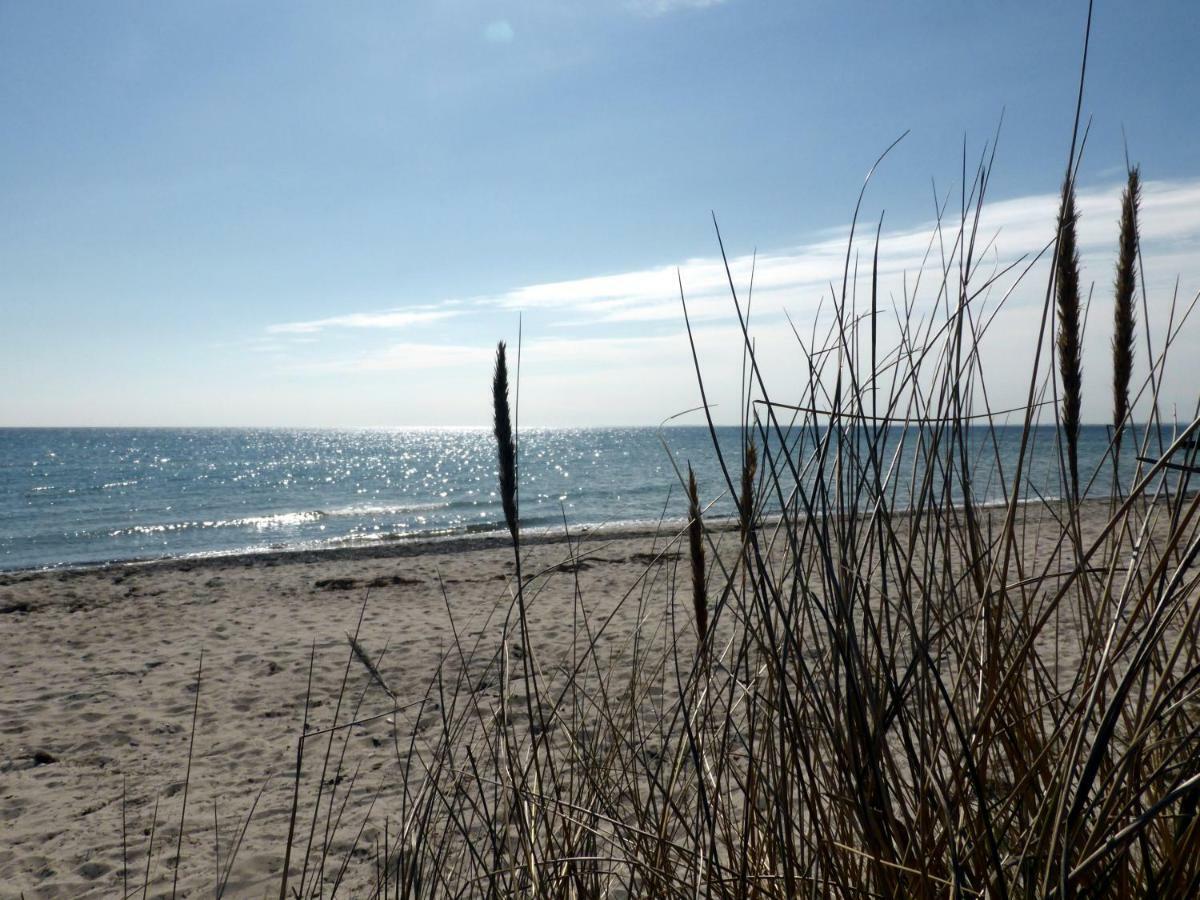 Meeresblick Fehmarn Exterior foto