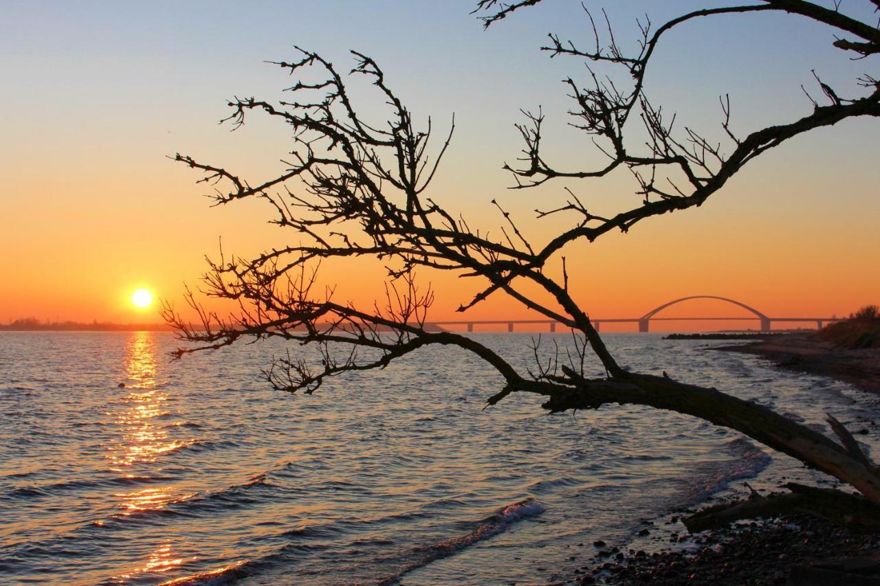 Meeresblick Fehmarn Exterior foto